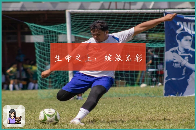 生命之上，绽放光彩